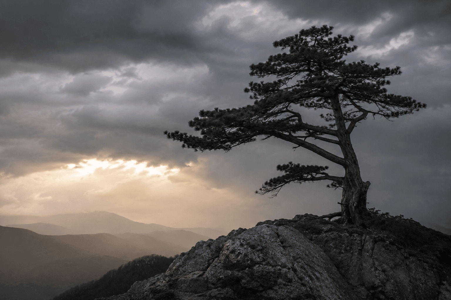 Bible Verses for Men Going Through Hard Times