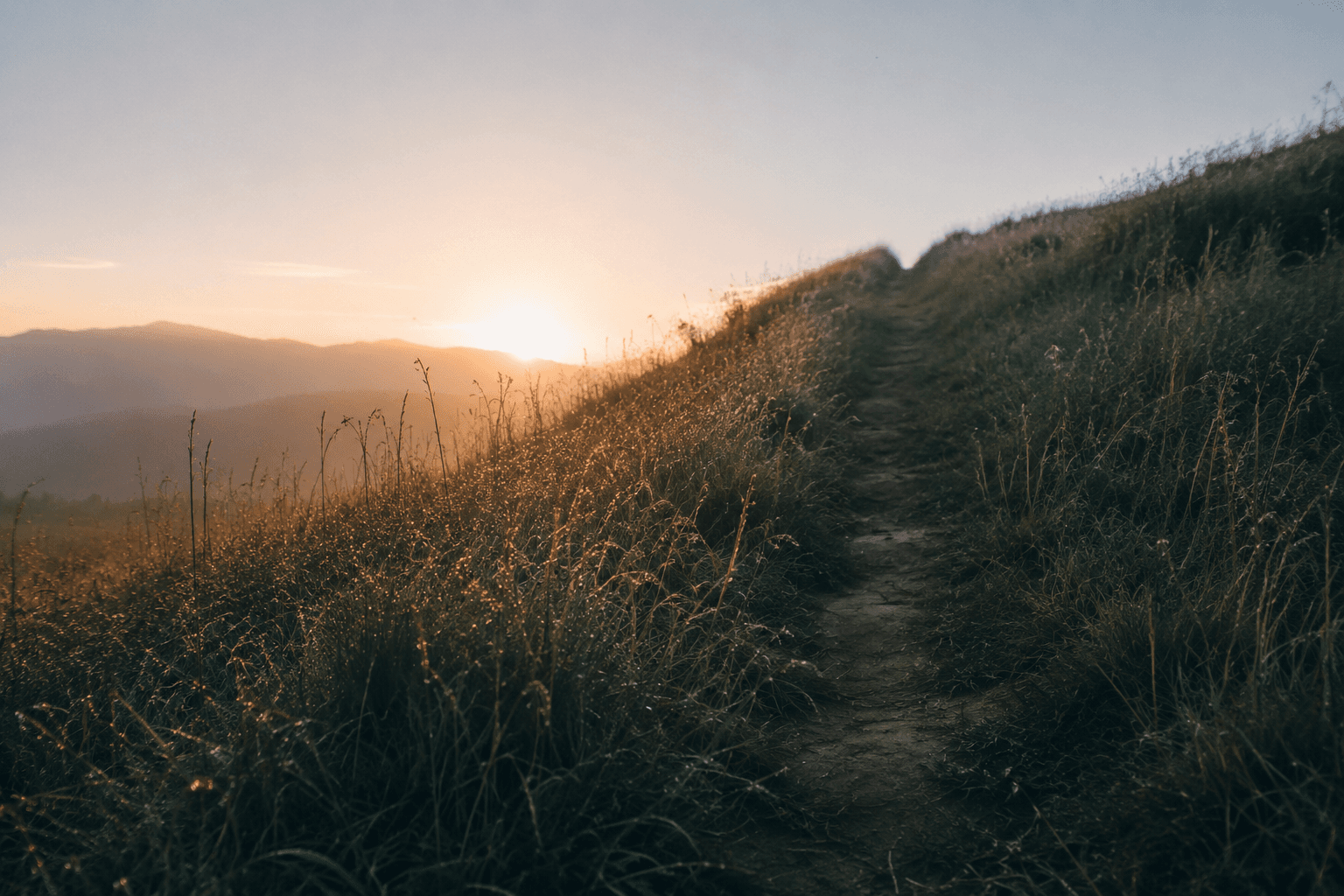 What Nobody Tells You About Discipline Until It Is Too Late